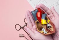 Catat, Ini 7 Cara Ampuh Menjaga Kesehatan Sistem Kardiovaskular Bagaimana Cara Menjaga Kesehatan Jantung Dengan Baik