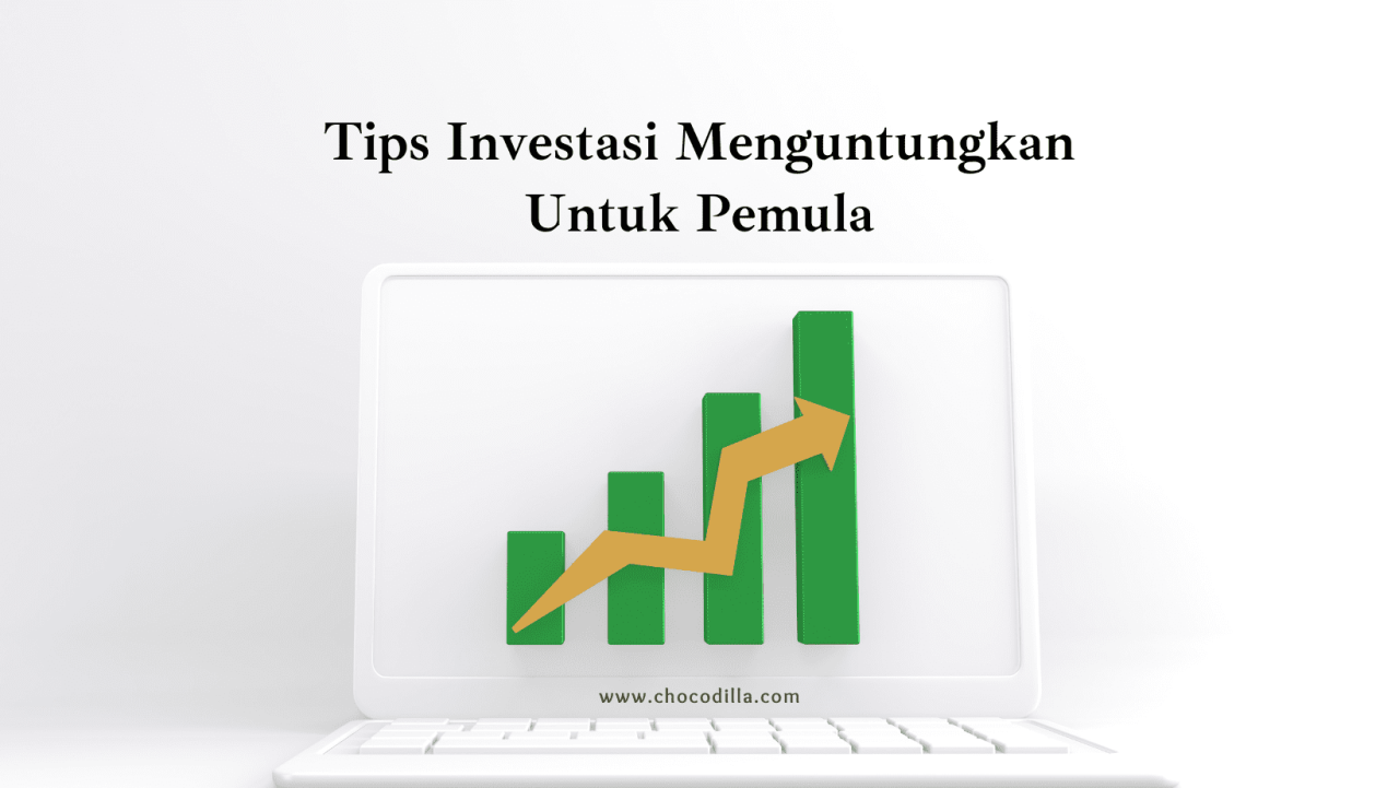 Apa Itu Investasi Yang Aman Untuk Pemula